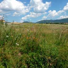 Pozemok na predaj - Prešov - Šalgovík